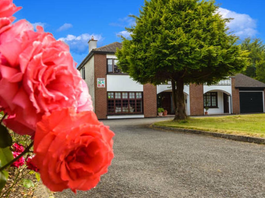 دروغيدا Killowen House B&B المظهر الخارجي الصورة