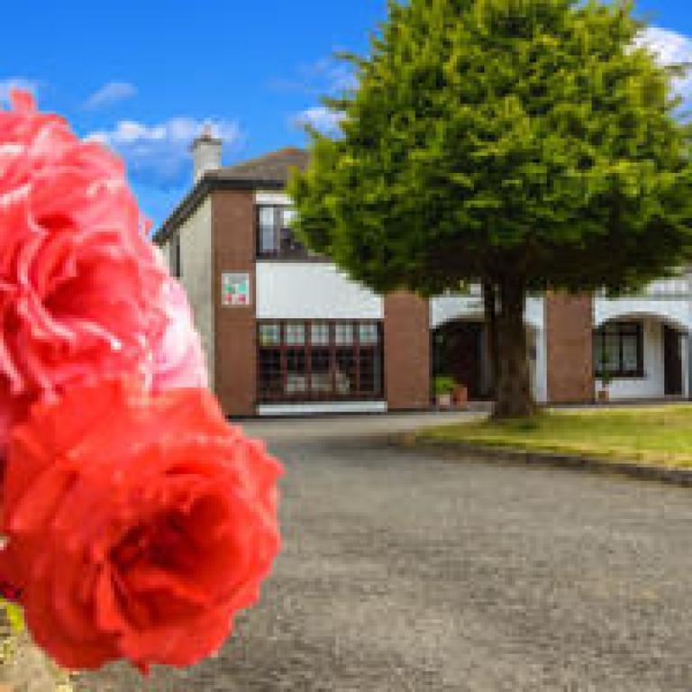 دروغيدا Killowen House B&B المظهر الخارجي الصورة